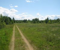 Новгородская область, Старорусский район Участок №101