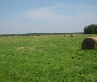 Новгородская область, Старорусский район Участок №104