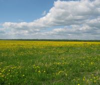 Новгородская область, Старорусский район Участок №107