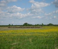 Новгородская область, Старорусский район Участок №108