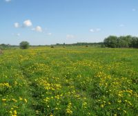 Новгородская область, Старорусский район Участок №111