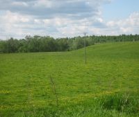 Новгородская область, Старорусский район Участок №112