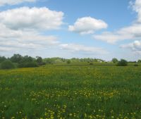 Новгородская область, Старорусский район Участок №115