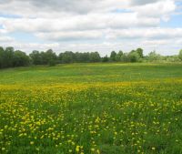 Новгородская область, Старорусский район Участок №117