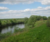 Новгородская область, Старорусский район Участок №118