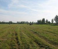 Новгородская область, Старорусский район Участок №119