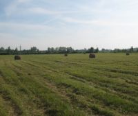 Новгородская область, Старорусский район Участок №119