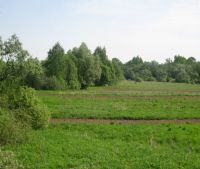 Новгородская область, Старорусский район Участок №121