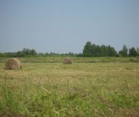 Новгородская область, Старорусский район Участок №122