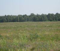 Новгородская область, Старорусский район Участок №122