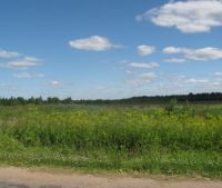 Новгородская область, Старорусский район Участок №123