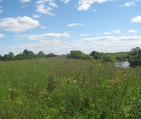 Новгородская область, Старорусский район Участок №125