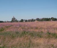 г. Старая Русса Участок №126