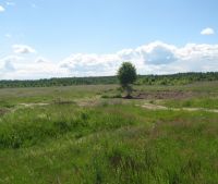 Новгородская область, Старорусский район Участок №127