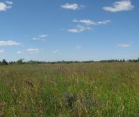 Новгородская область, Старорусский район Участок №129