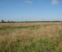 Новгородская область, Старорусский район Участок №132