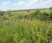 Новгородская область, Старорусский район Участок №133