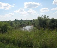 Новгородская область, Старорусский район Участок №134