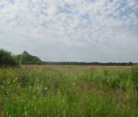 Новгородская область, Старорусский район Участок №137