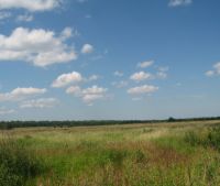 Новгородская область, Старорусский район Участок №137