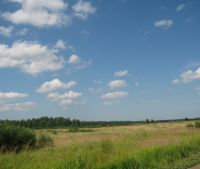 Новгородская область, Старорусский район Участок №140