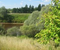 Новгородская область, Старорусский район Участок №144