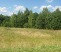 Новгородская область, Старорусский район, д. Котецко Участок №145