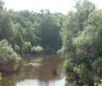 Новгородская область, Старорусский район, д. Котецко Участок №145