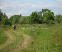 Новгородская область, Старорусский район Участок №146