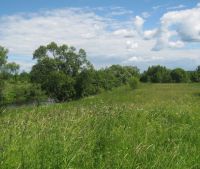 Новгородская область, Старорусский район Участок №146