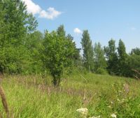 Новгородская область, Старорусский район Участок №147