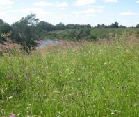 Новгородская область, Старорусский район Участок №148