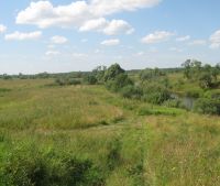 Новгородская область, Старорусский район Участок №148