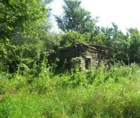 Новгородская область, Старорусский район Участок №149