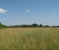 Новгородская область, Старорусский район Участок №150