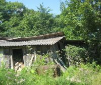 Новгородская область, Старорусский район Участок №150