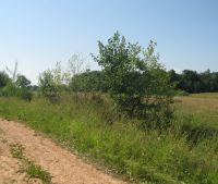 Новгородская область, Старорусский район Участок №154