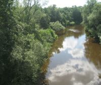 Новгородская область, Старорусский район Участок №155