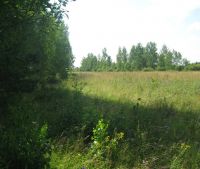 Новгородская область, Старорусский район Участок №157