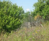 Новгородская область, Старорусский район, д. Борок Участок №158