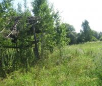 Новгородская область, Старорусский район, д. Борок Участок №158