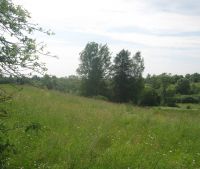 Новгородская область, Старорусский район Участок №159