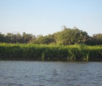 Новгородская область, Старорусский район Участок №160