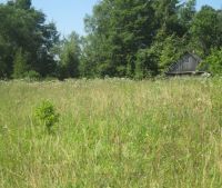 Новгородская область, Старорусский район Участок №160