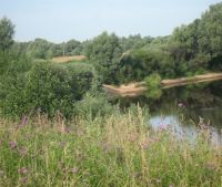 Новгородская область, Старорусский район, д. Гарижа Участок №163