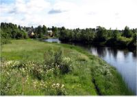 Новгородская область, Старорусский район Участок №165