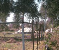 Новгородская область, Старорусский район Участок №166