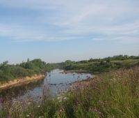 Новгородская область, Старорусский район, д. Кочериново Участок №167