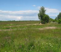 Новгородская область, Старорусский район Участок №168