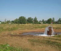 Новгородская область, Старорусский район Участок №170